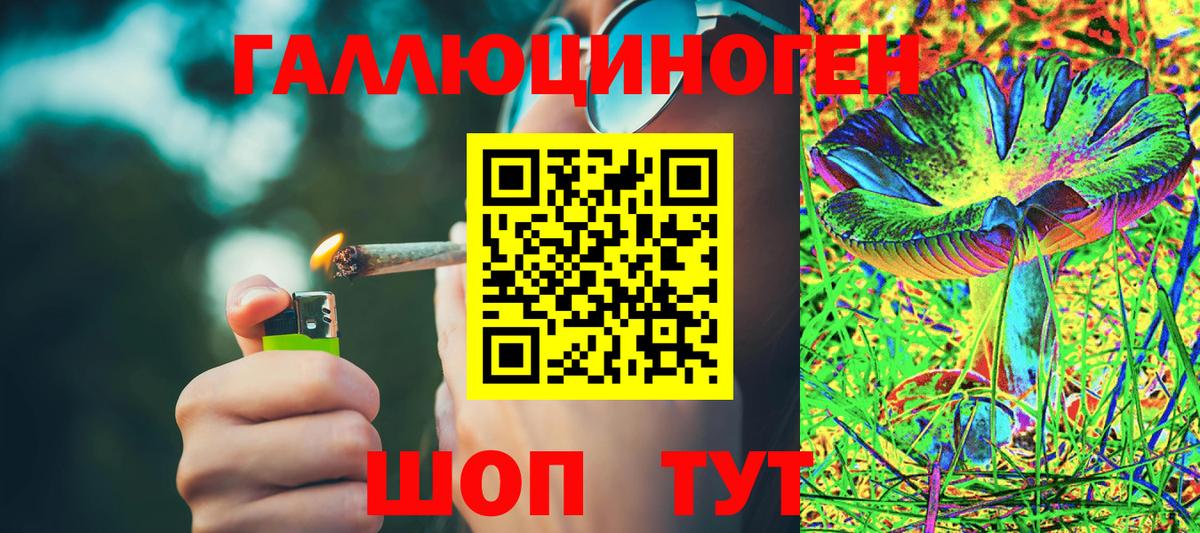 Новозыбков  Псилоцибиновые грибы Magic Shrooms  Вход с VPN 