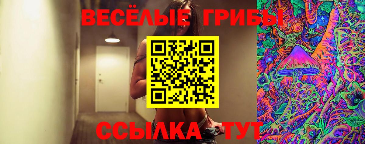 Галлюциногенные грибы ЛСД Новозыбков