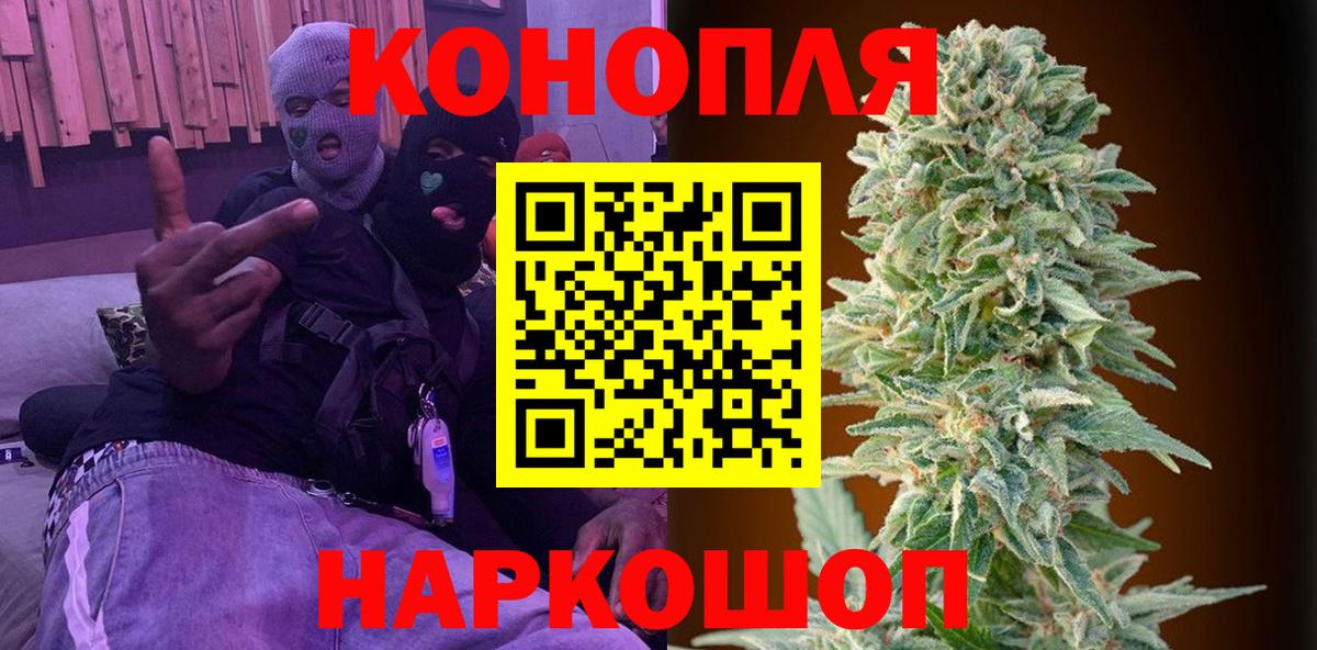 Новозыбков  Канабис OG Kush  Вход с VPN  Каннабис THC 21% 